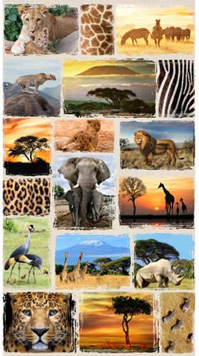 AF043 Wild Kingdom - Digital Savannah Panel • Fabrics - NEWWhats New