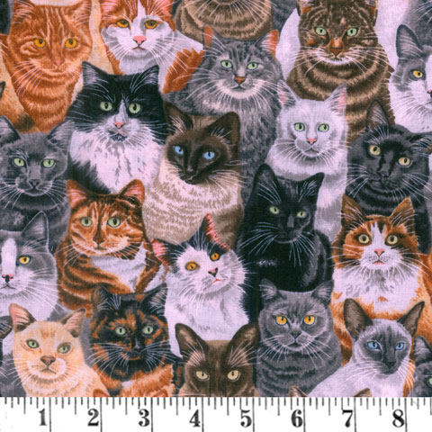 AJ431 Crowded Cats - Multi • ConversationalsFabric In-Store • Conv